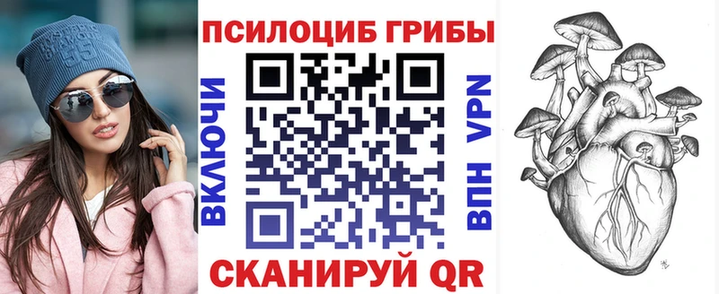 Галлюциногенные грибы Magic Shrooms  Купить где  Приозерск 